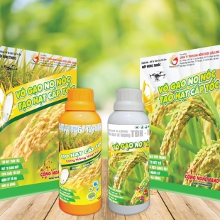 CẶP VÔ GẠO NO NÓC - TẠO HẠT CẤP TỐC